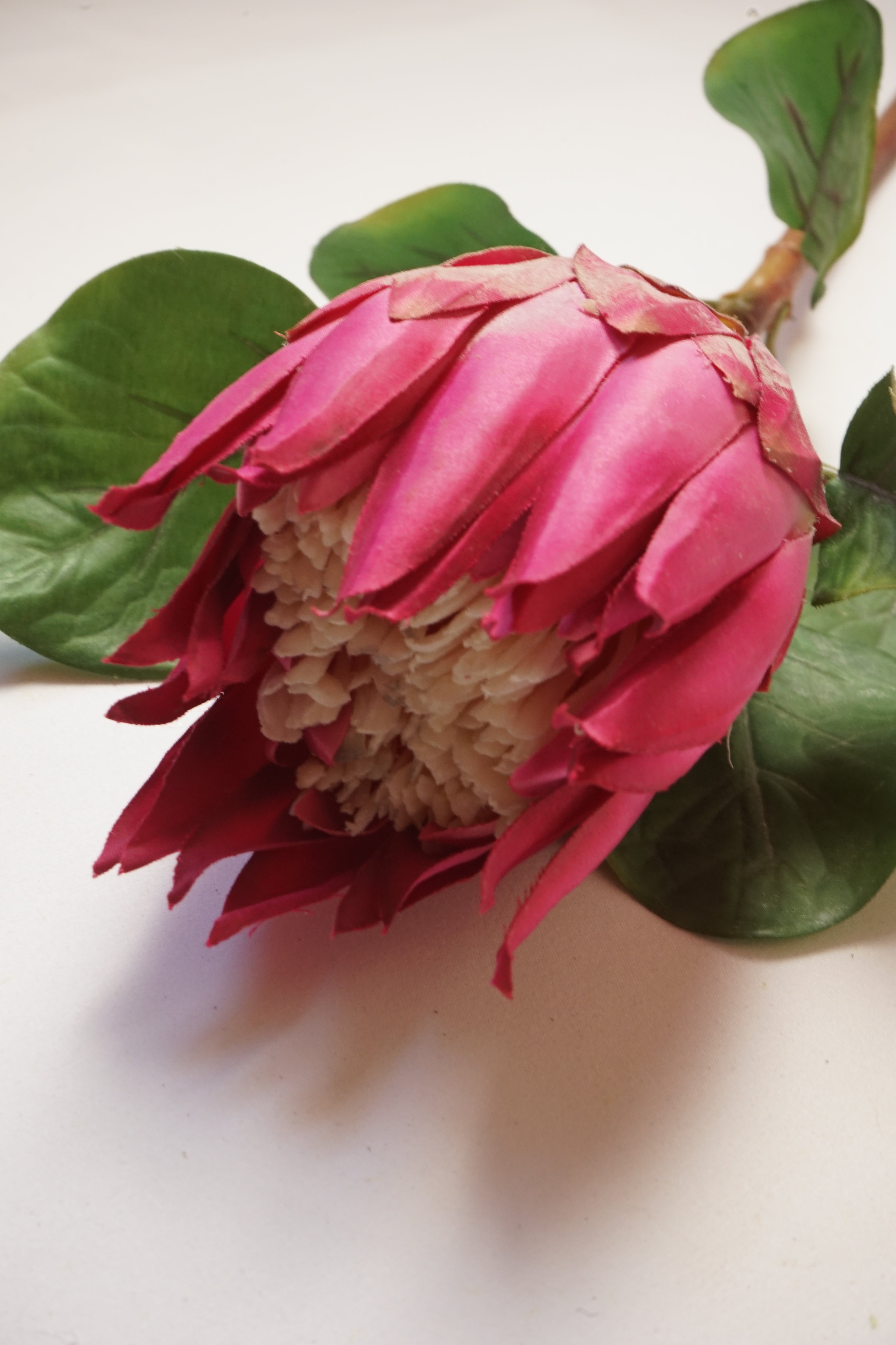 Faux Pink King  Protea Stem