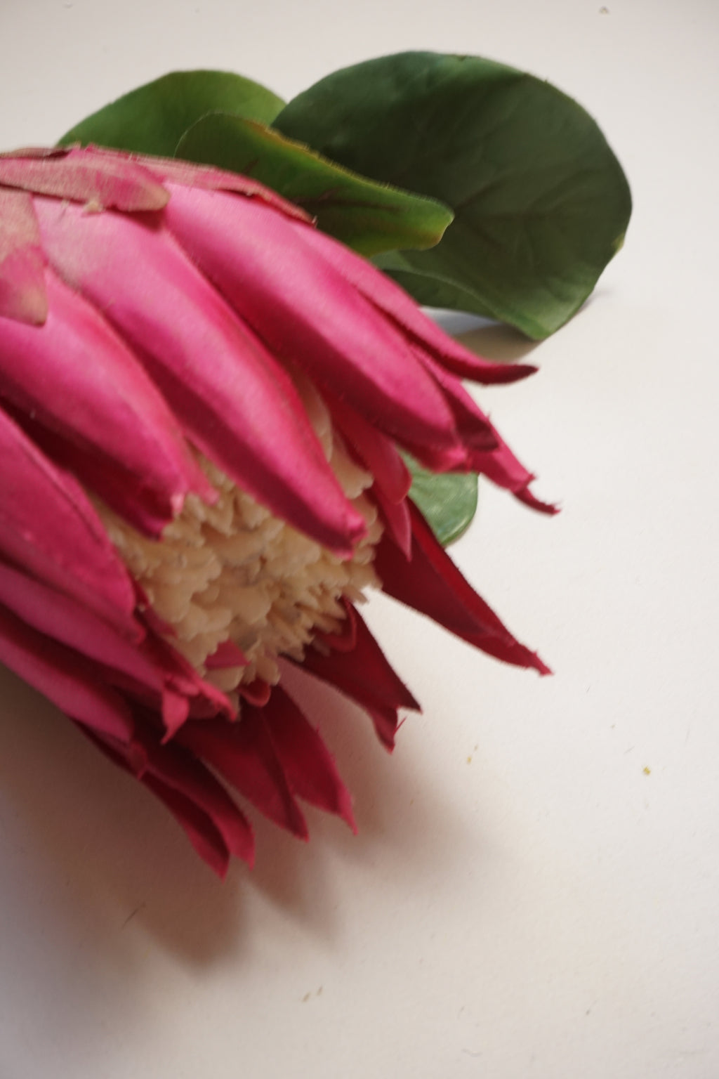 Faux Pink King  Protea Stem