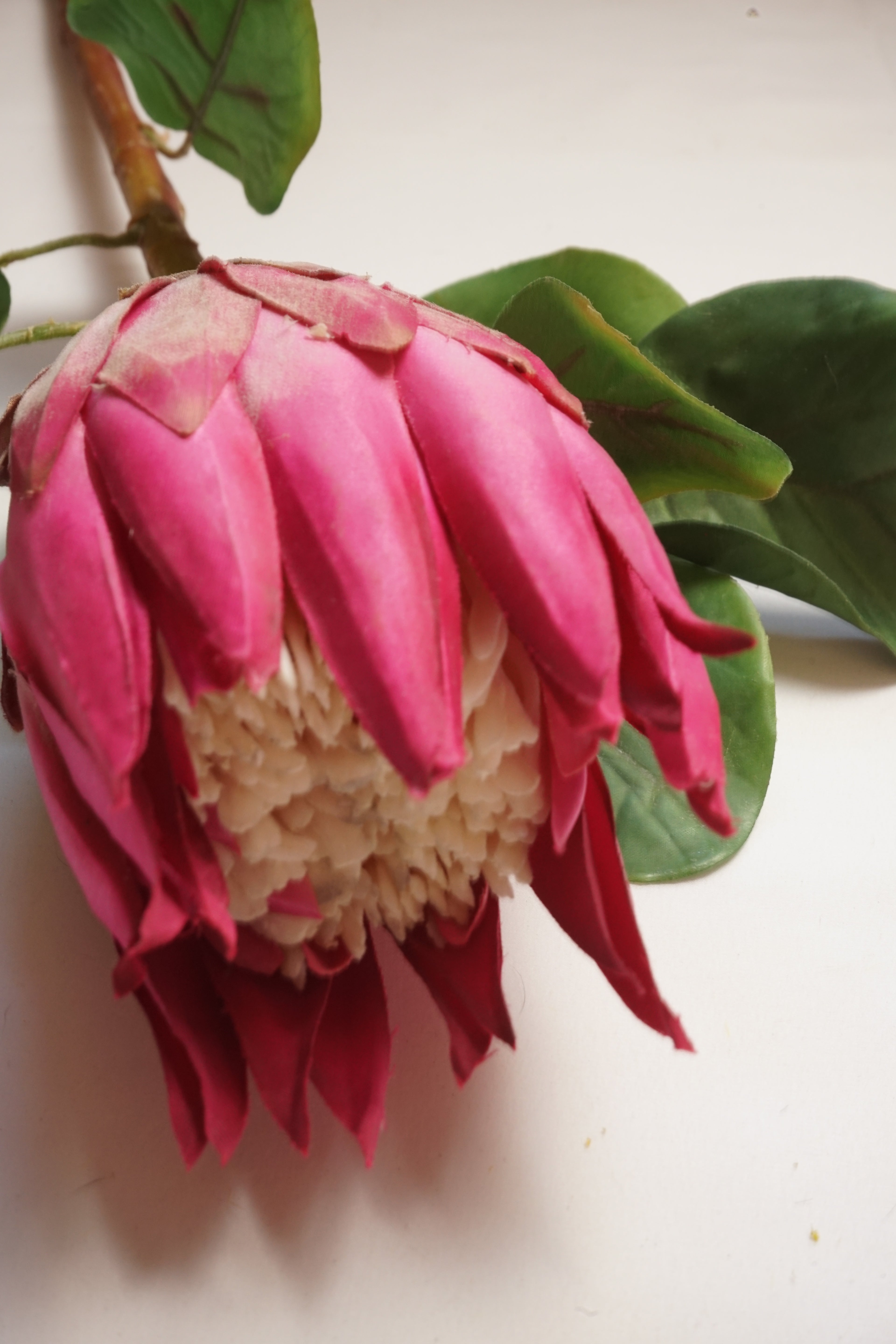 Faux Pink King  Protea Stem
