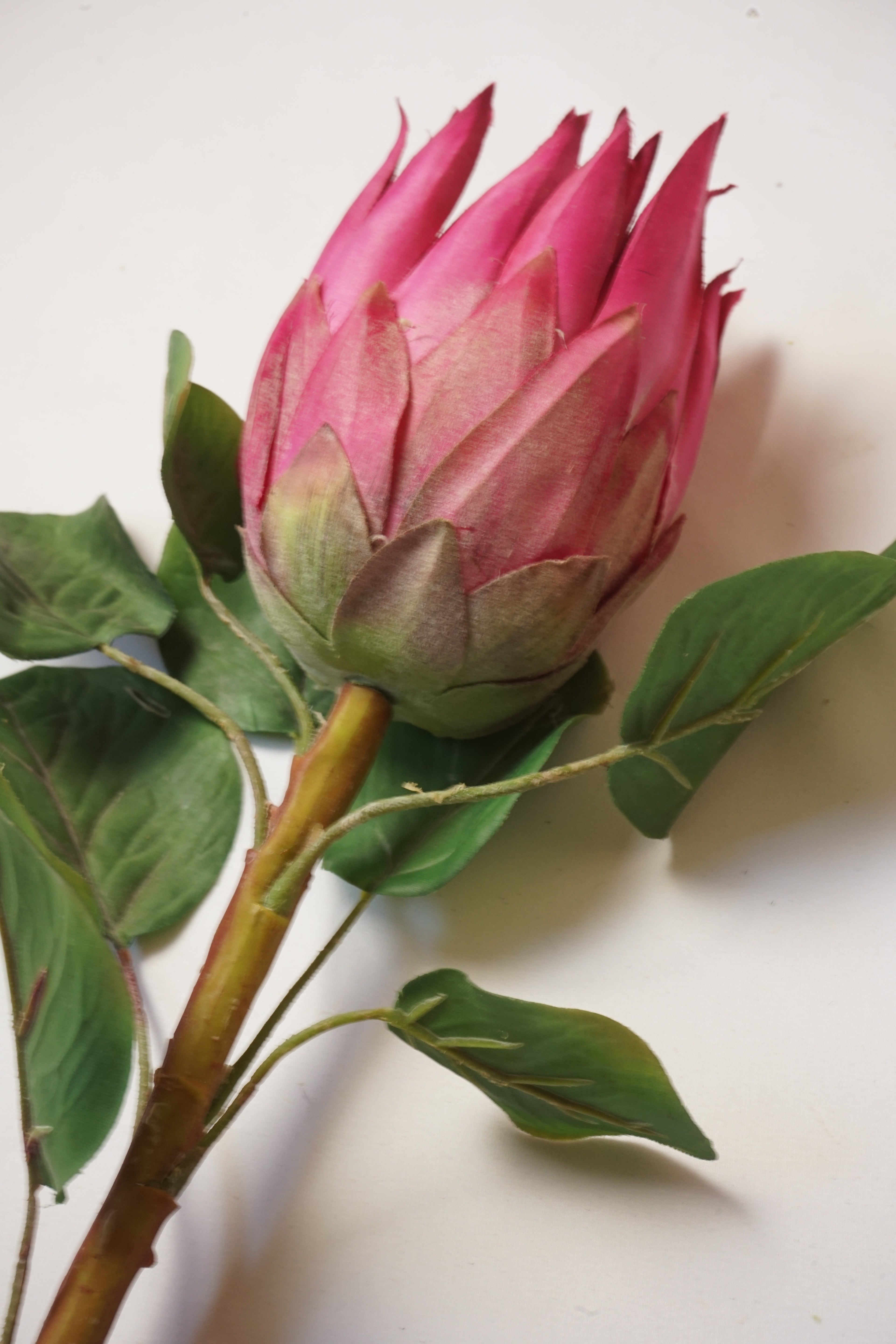 Faux Pink King  Protea Stem