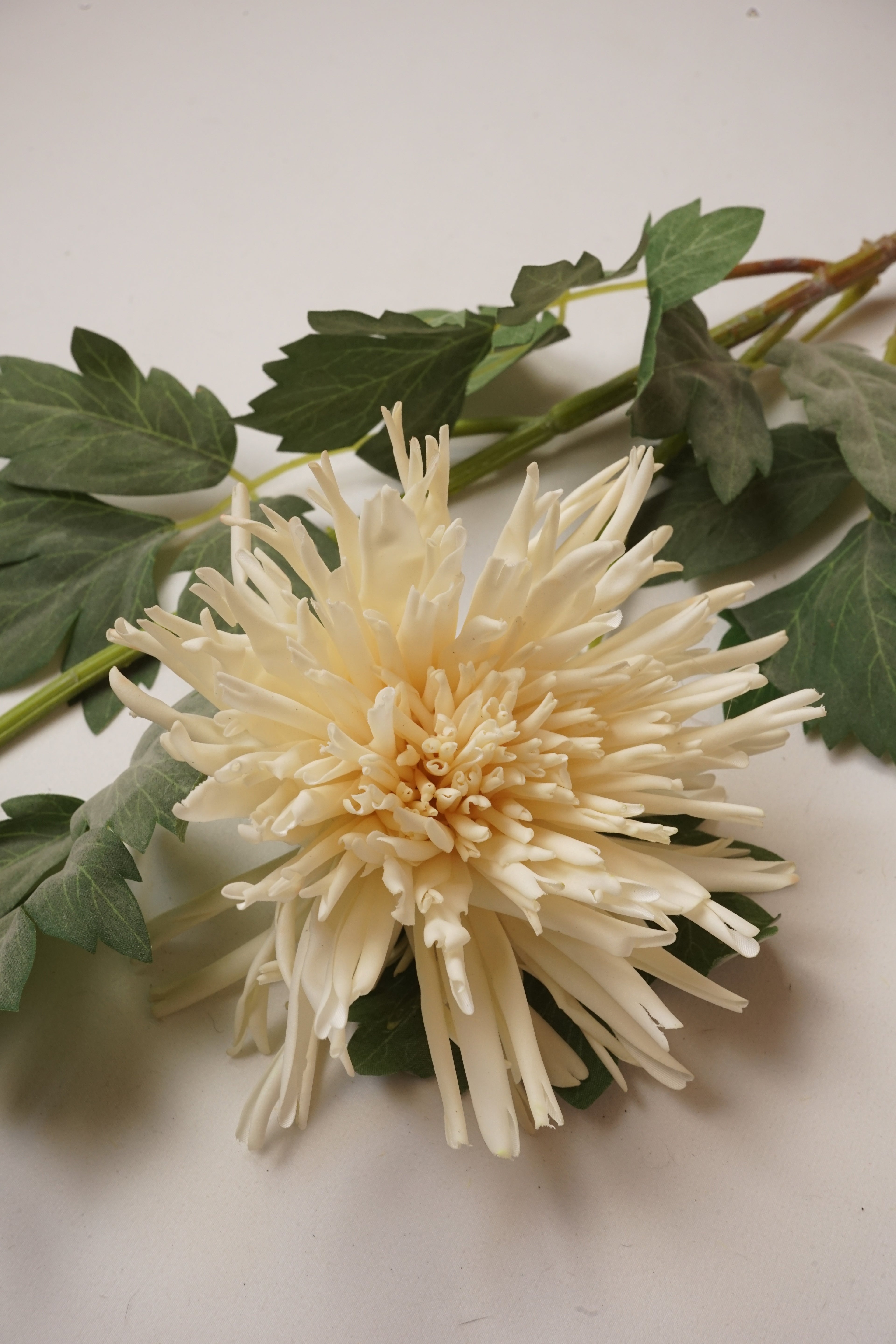 Faux Cream Spider Chrysanthemum