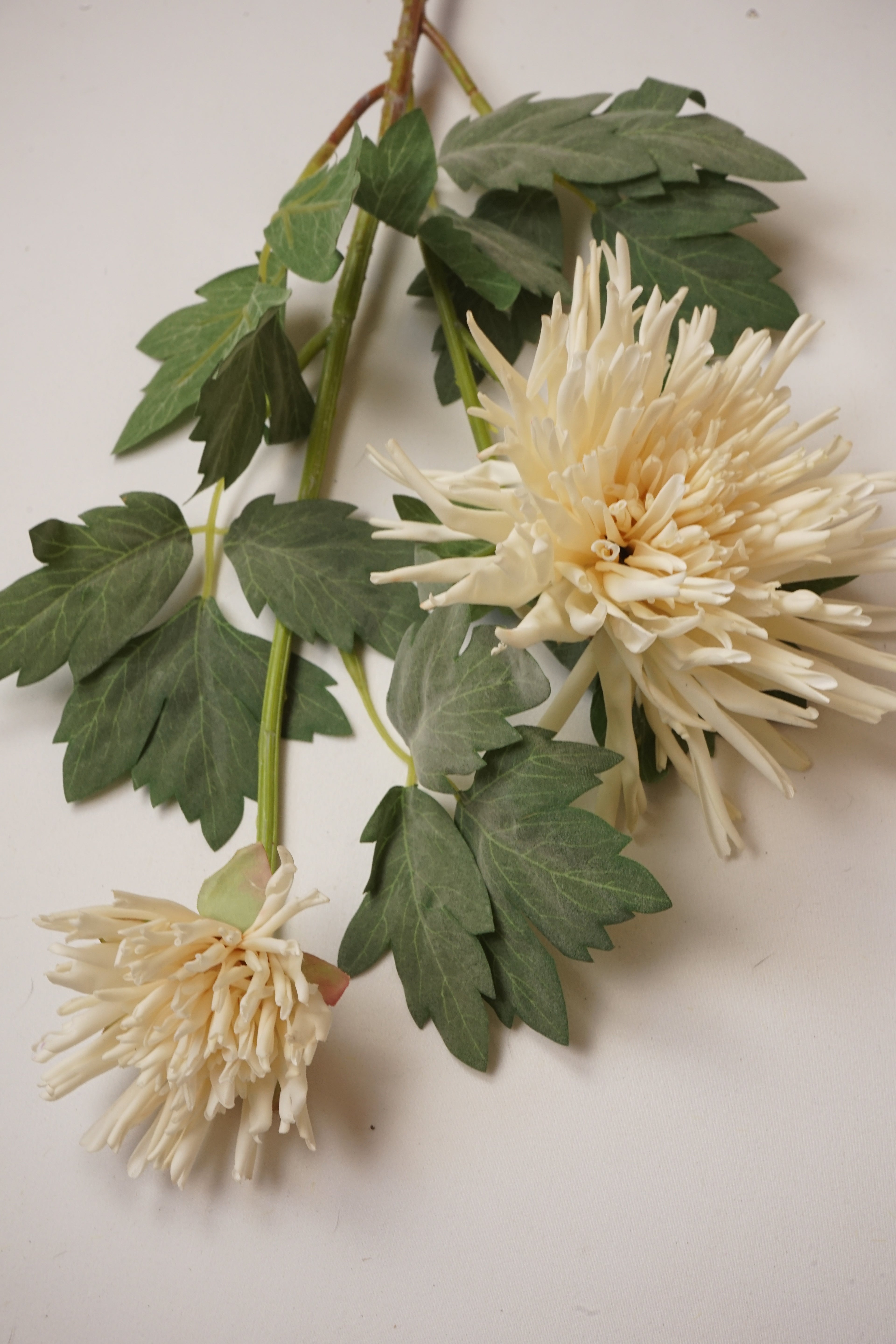 Faux Cream Spider Chrysanthemum