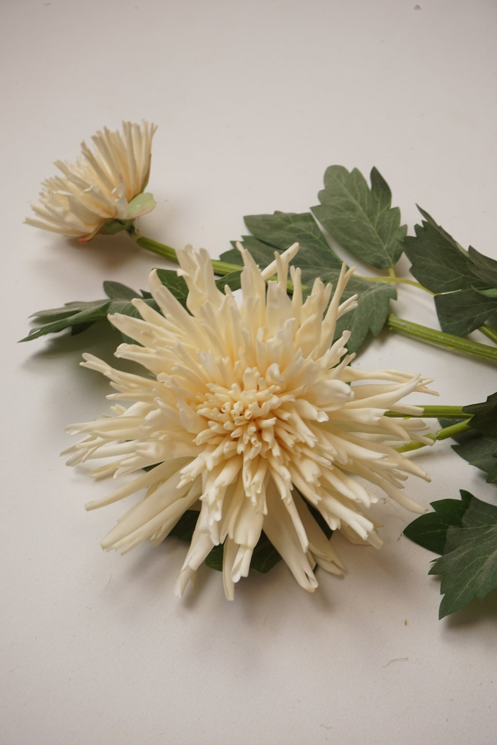Faux Cream Spider Chrysanthemum