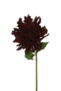 Faux 'Chat Noir' Burgundy Dahlia