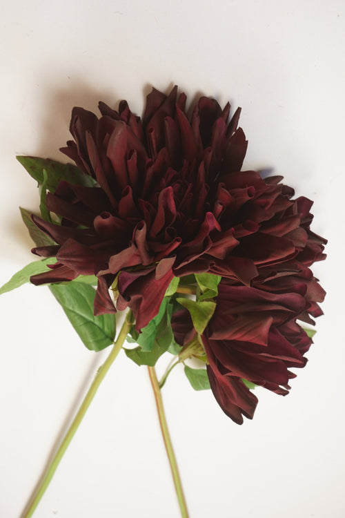 Faux 'Chat Noir' Burgundy Dahlia