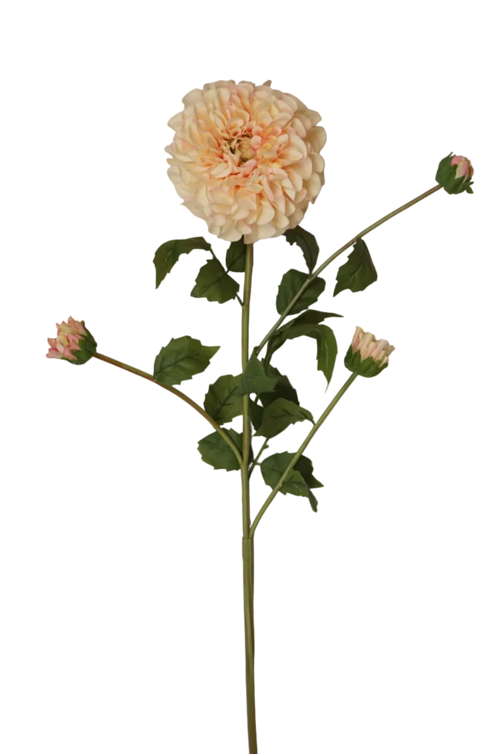 Faux Champagne Dahlia Spray