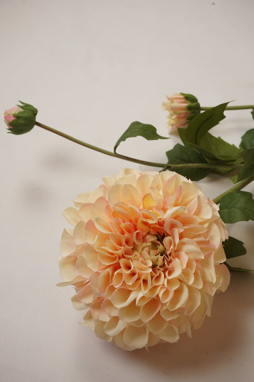 Faux Champagne Dahlia Spray
