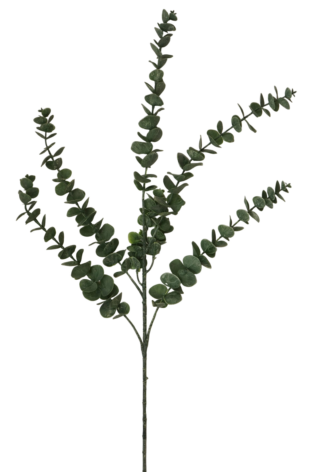 Faux Eucalyptus Gunnii Spray