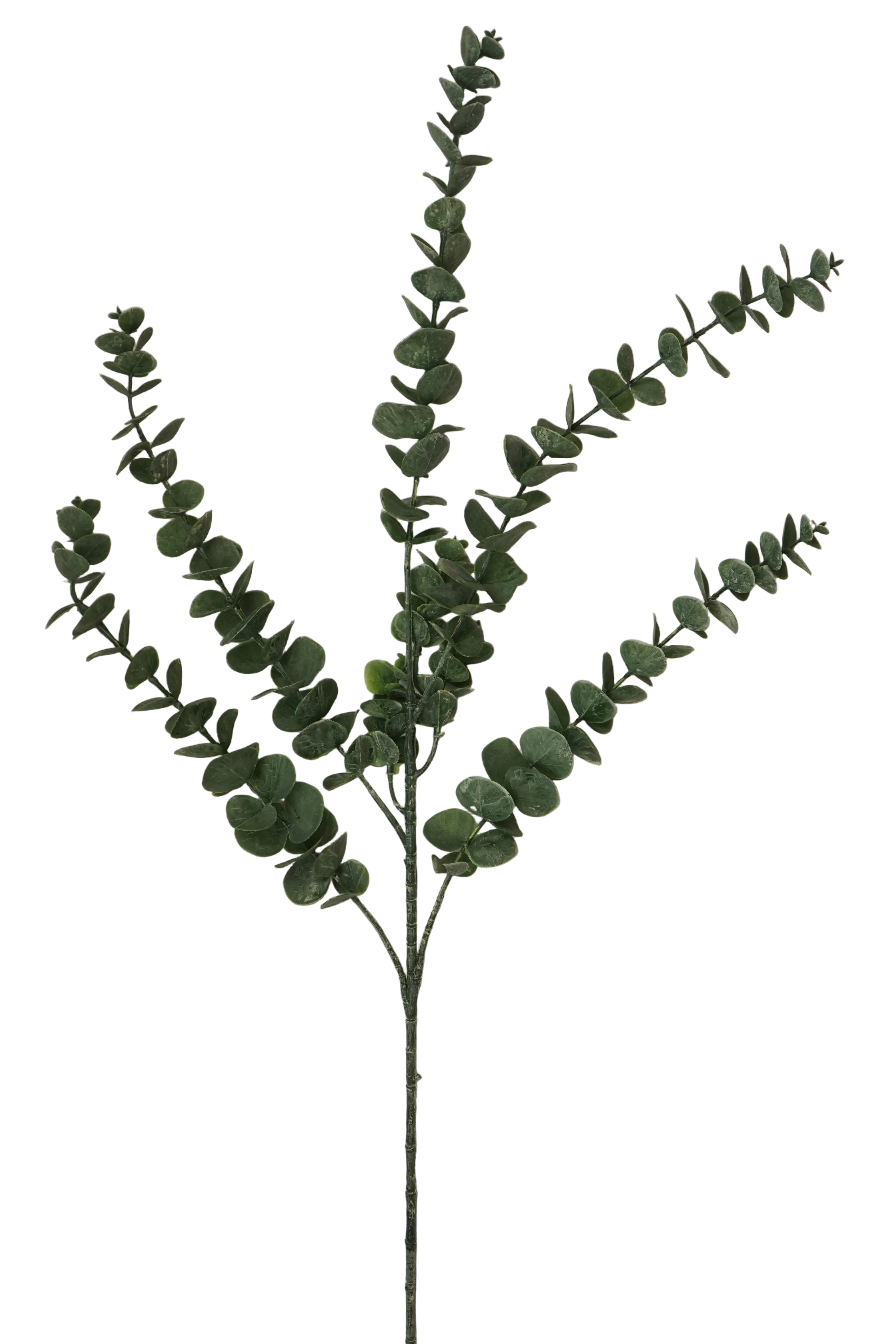 Faux Eucalyptus Gunnii Spray