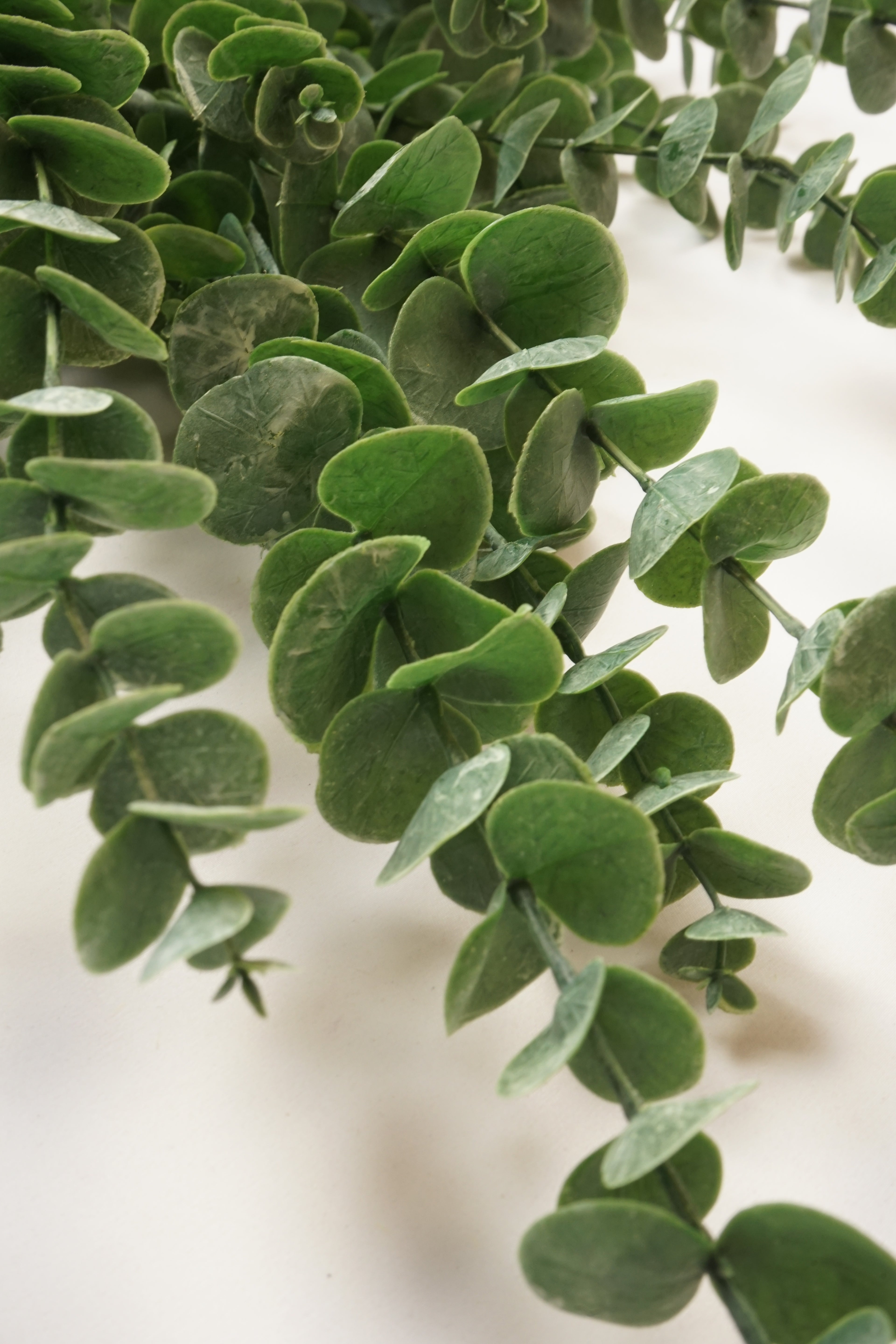 Faux Eucalyptus Gunnii Spray