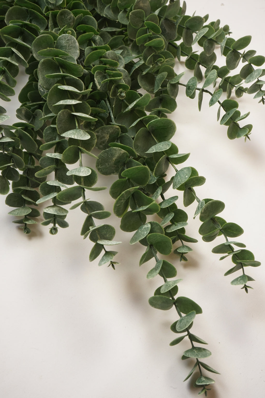 Faux Eucalyptus Gunnii Spray
