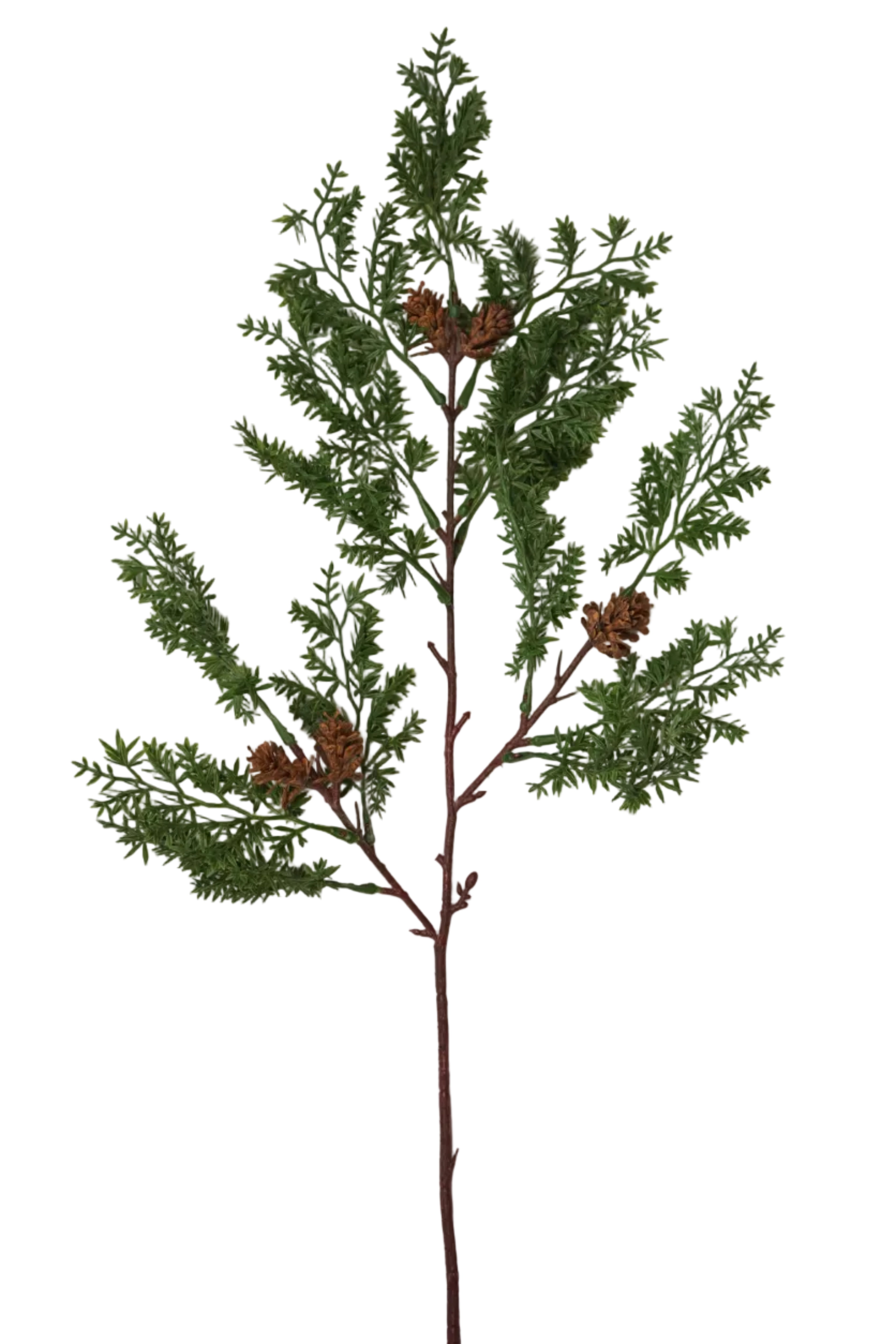 Faux Cedar Branch