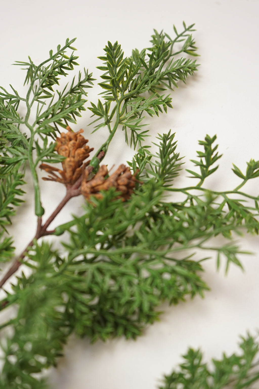 Faux Cedar Branch