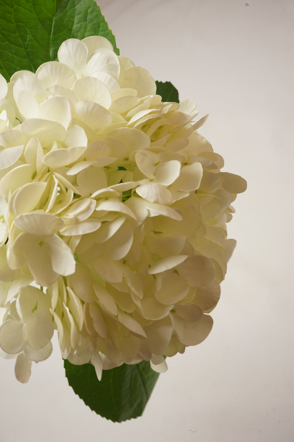 Faux Real Touch Fluffy White Hydrangea