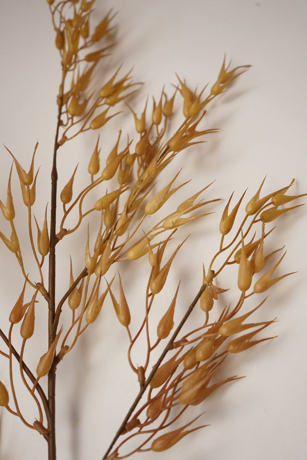 Faux Dried Oat Grass Spray