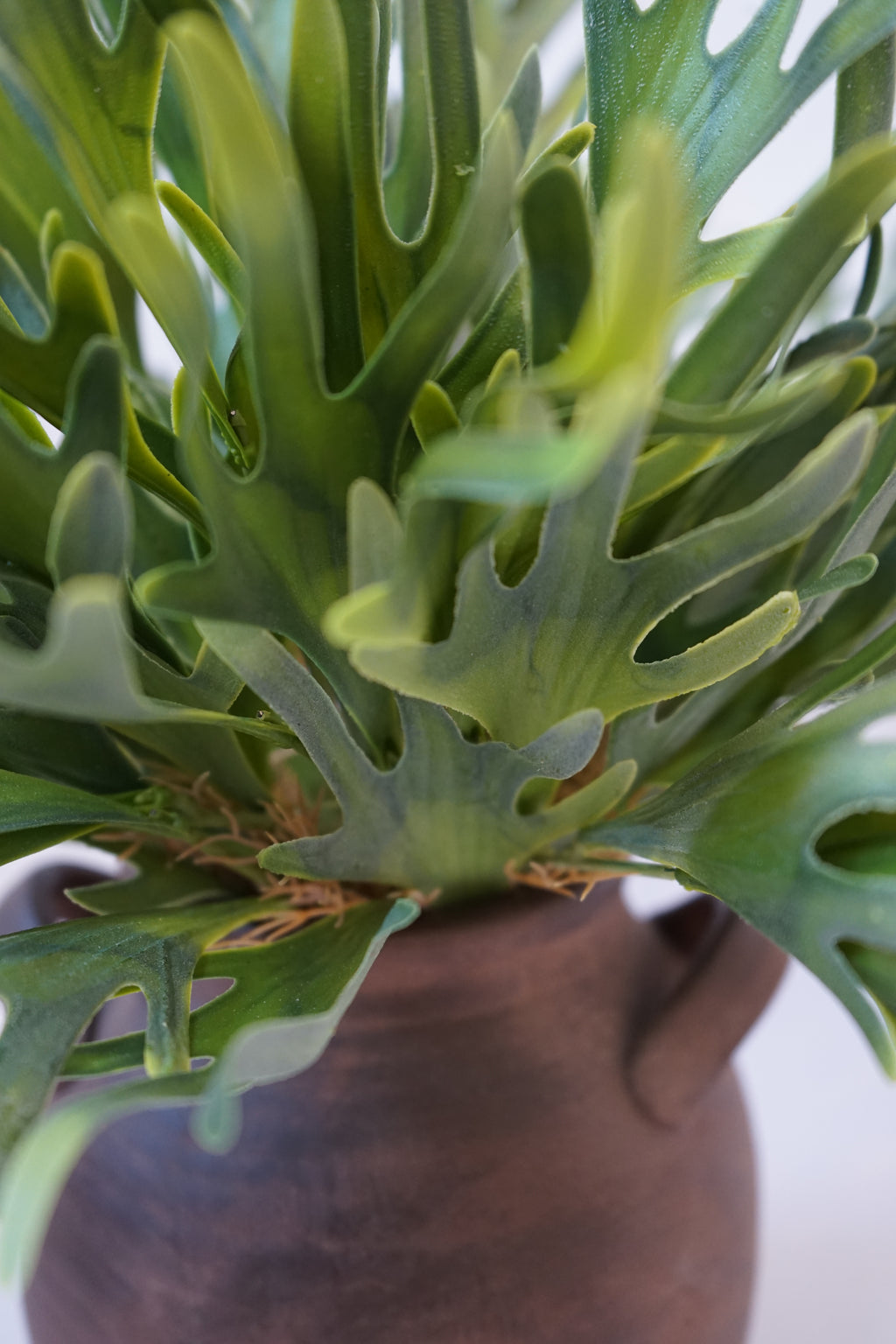Faux Staghorn Fern