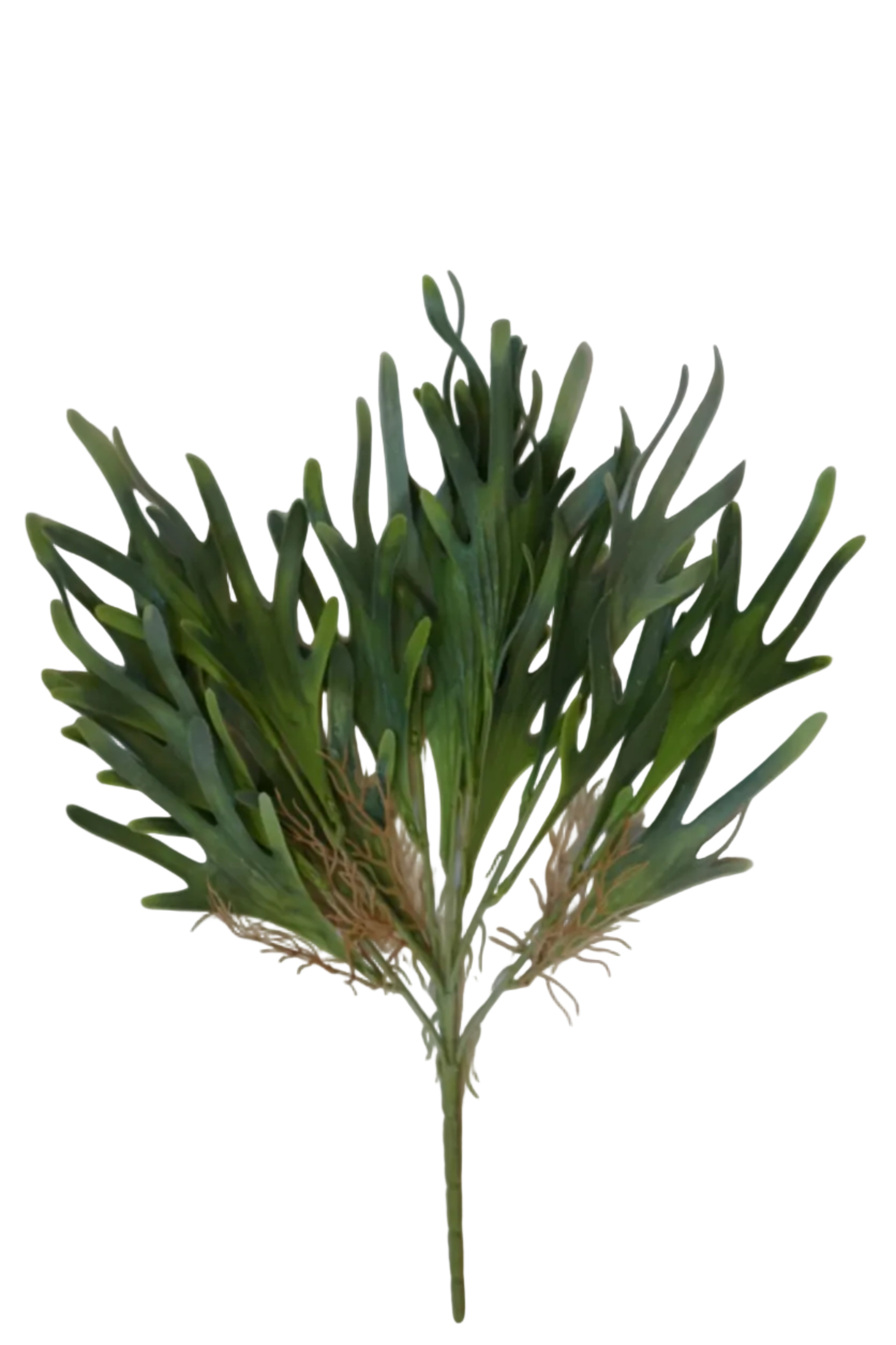 Faux Staghorn Fern