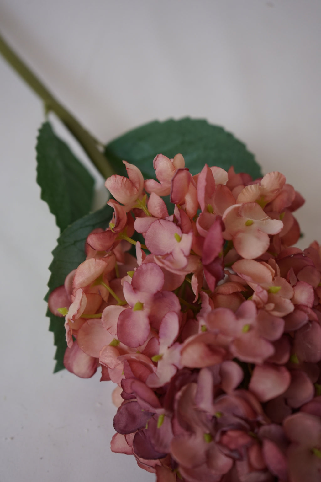 Faux Pink Cone Hydrangea