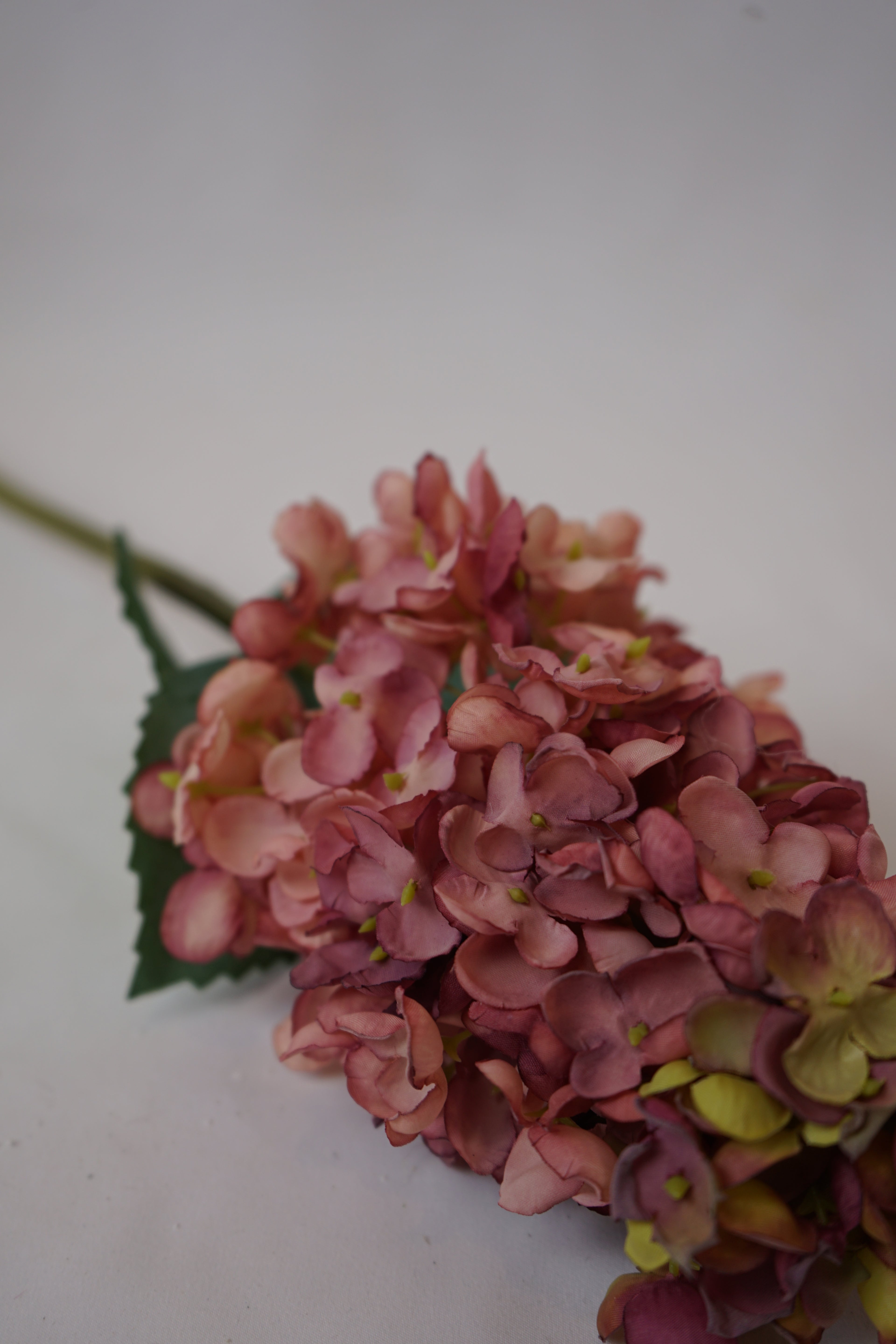 Faux Pink Cone Hydrangea