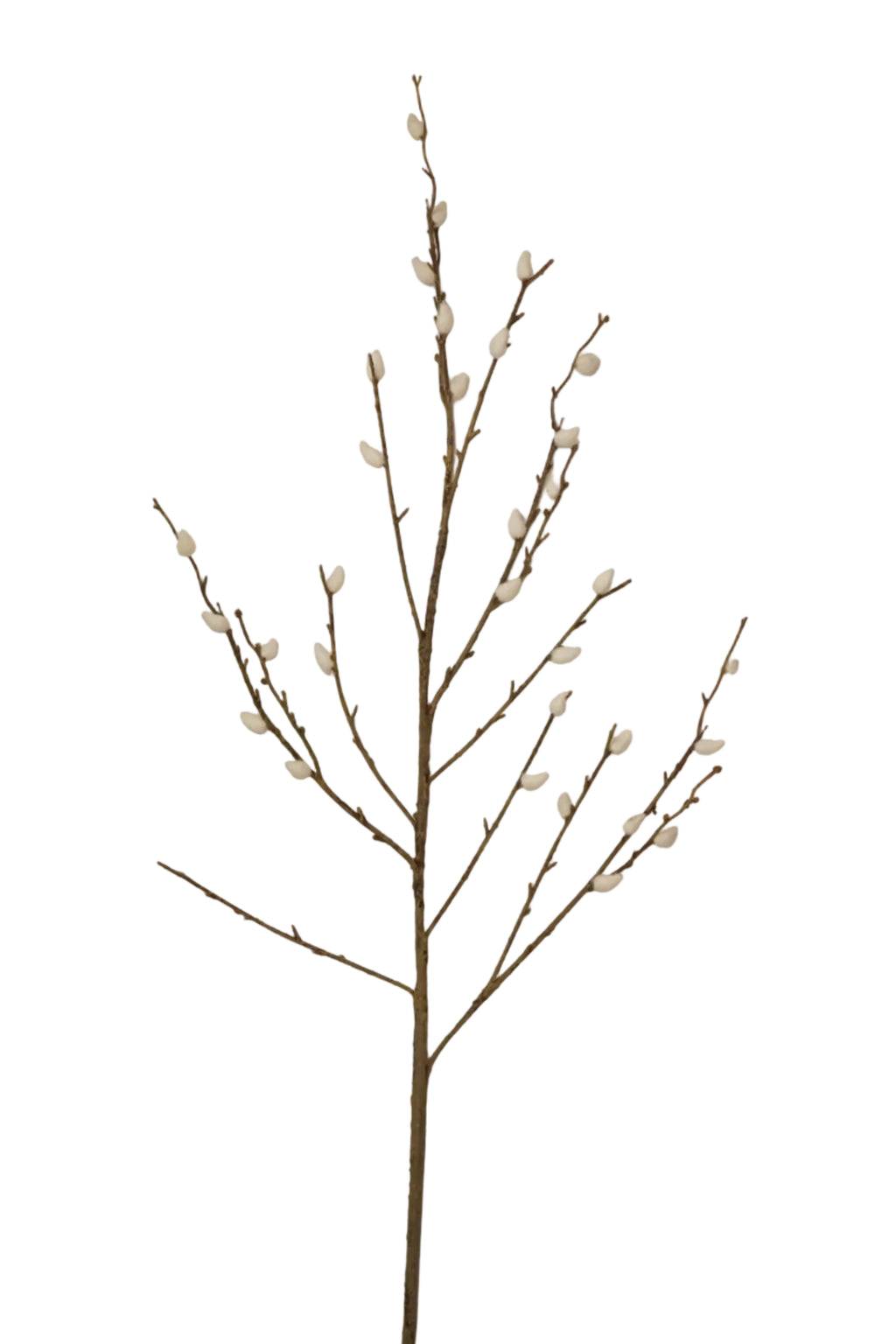 Faux White Willow