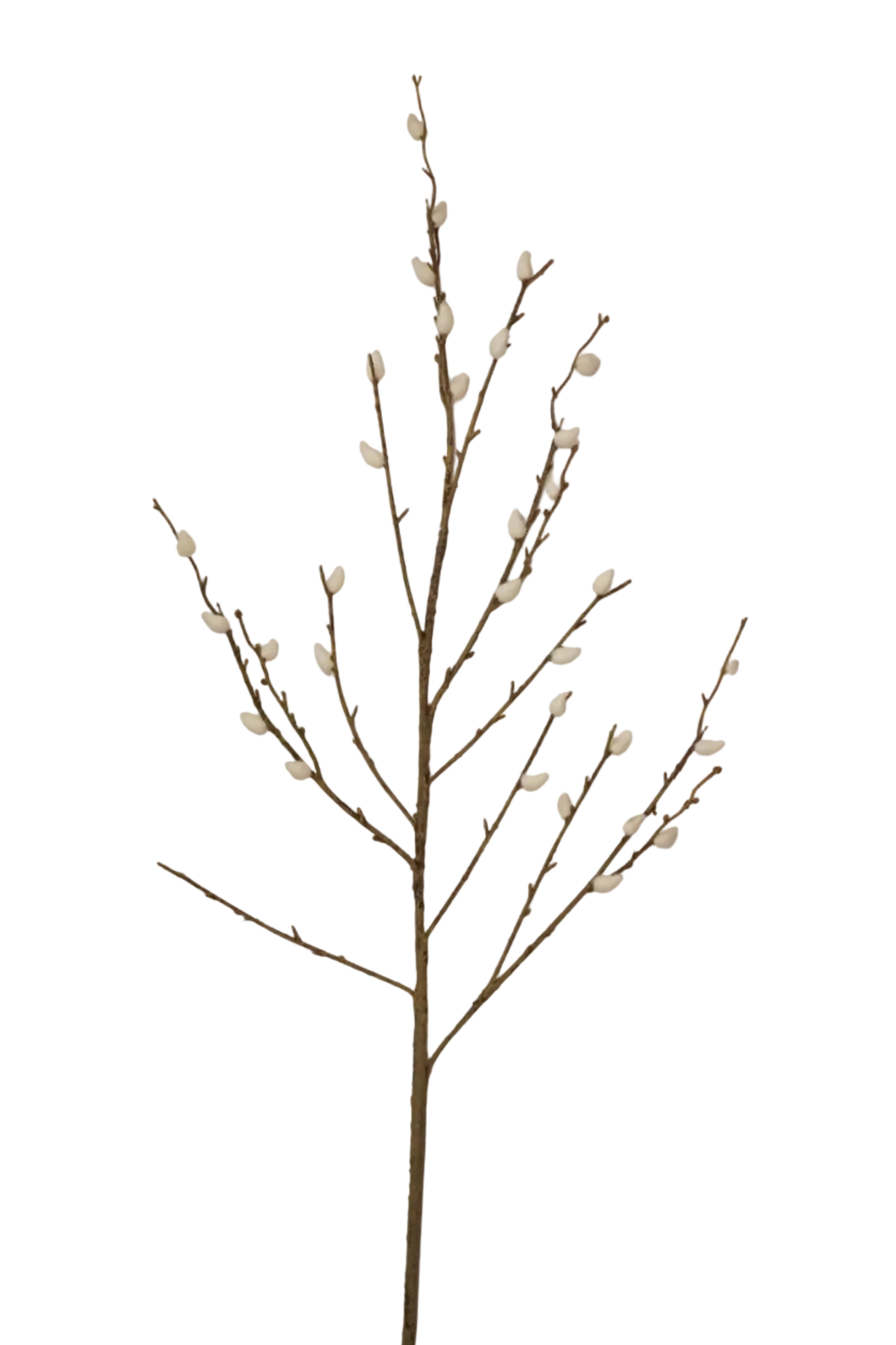 Faux White Willow