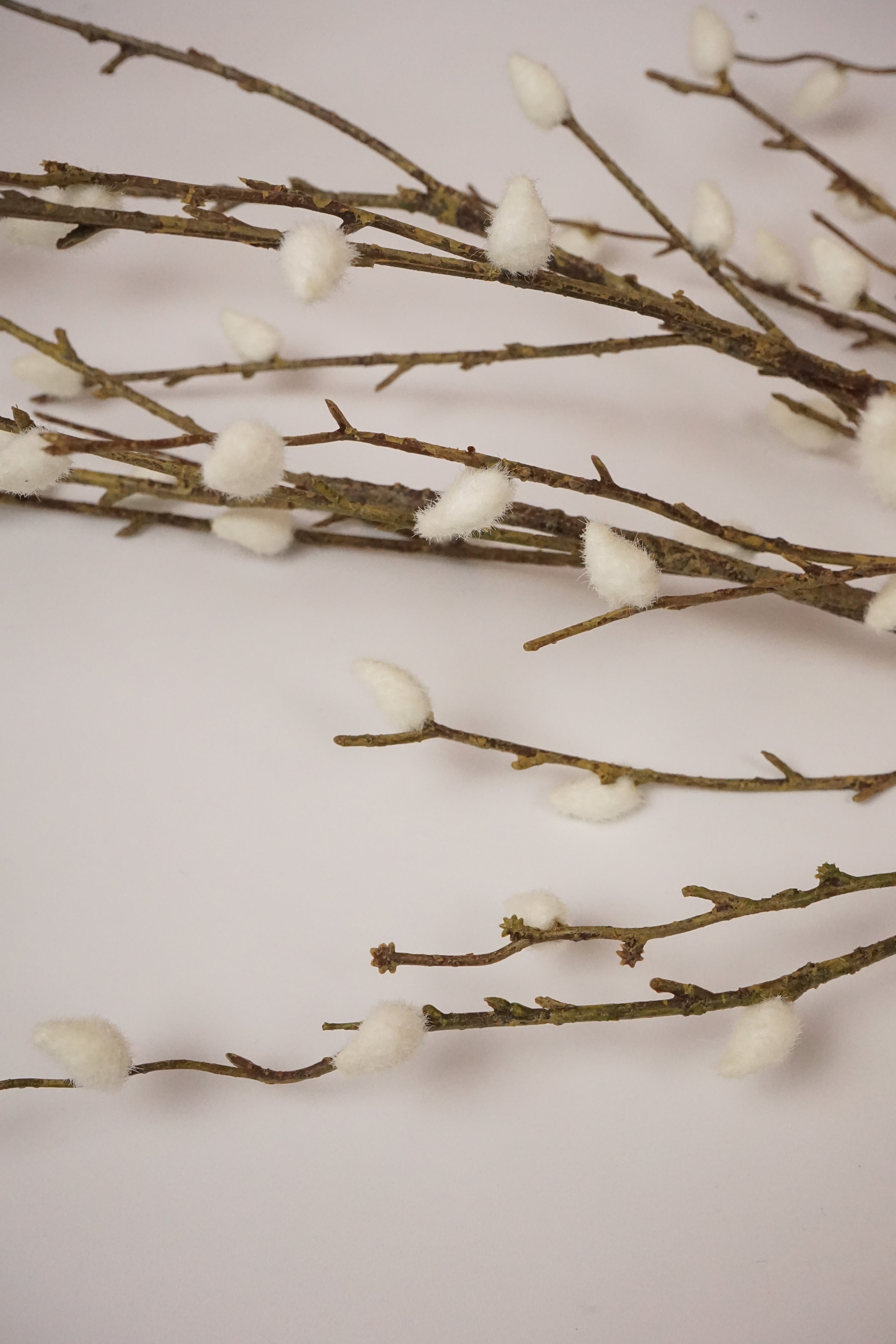 Faux White Willow