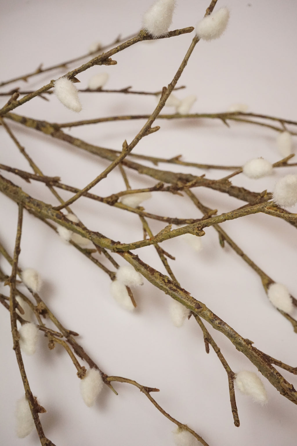 Faux White Willow