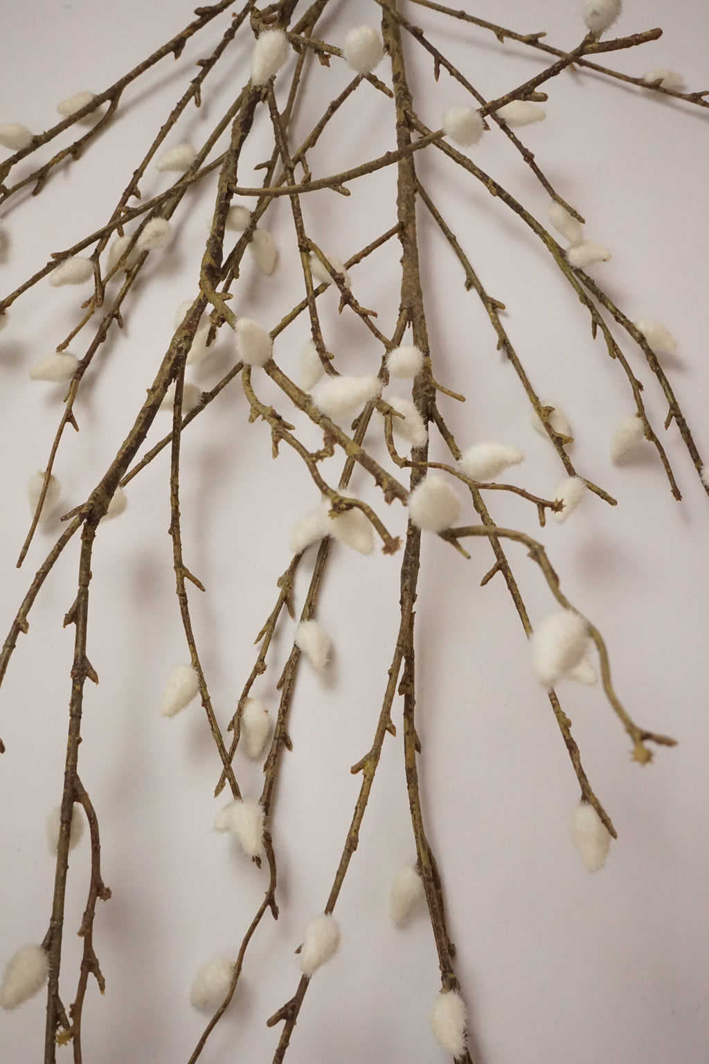 Faux White Willow