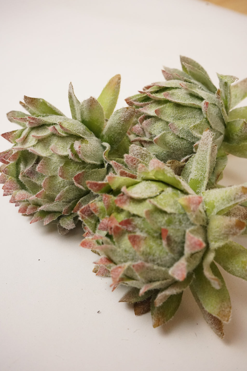 Faux Small Artichoke Stem
