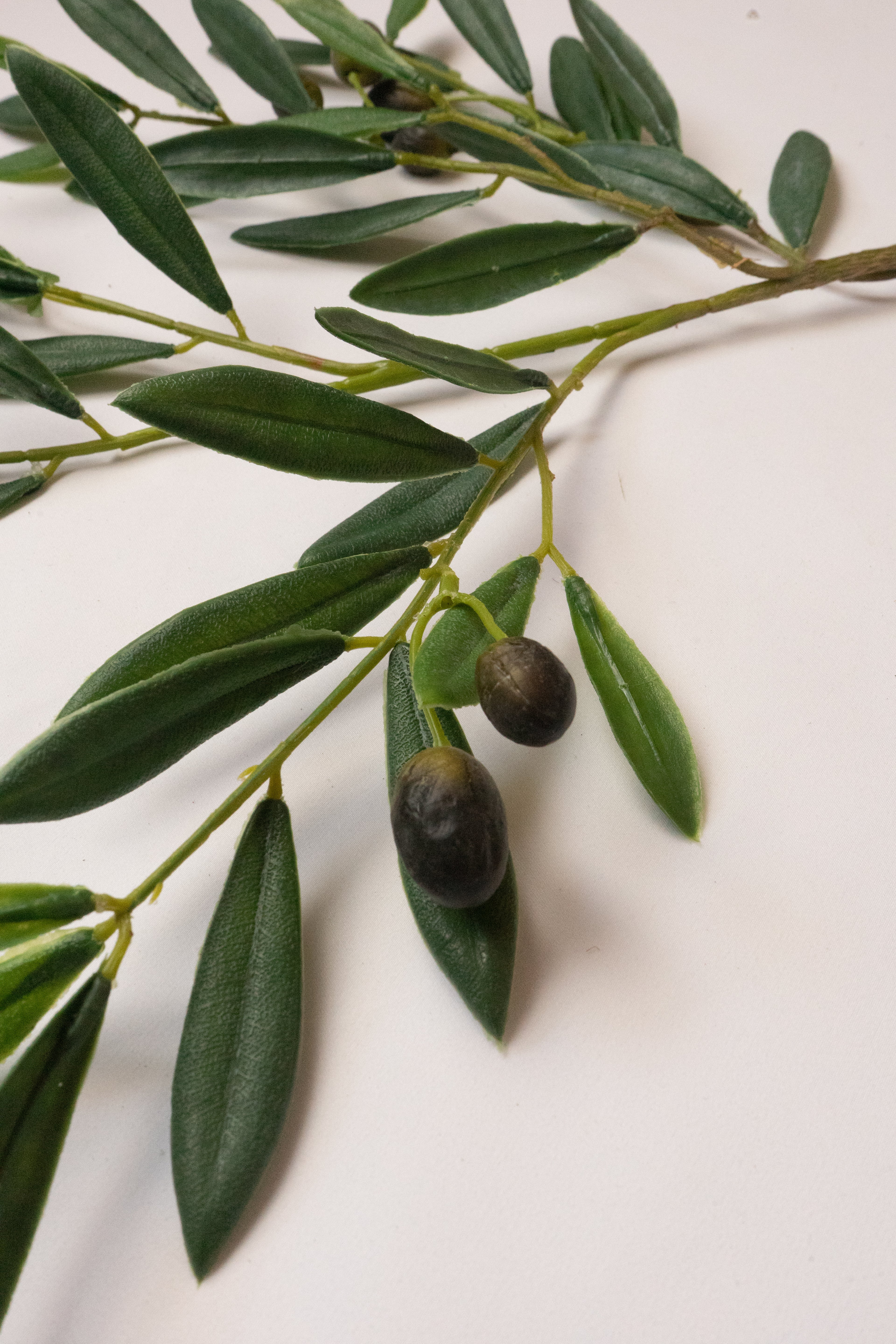 Faux Olive Stem