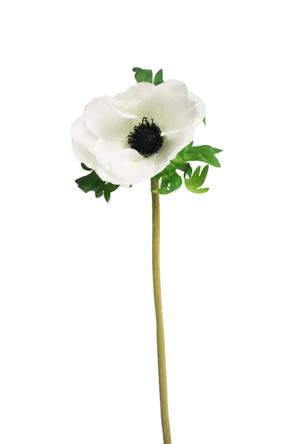 Faux White Anemone Stem
