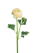 Faux White Ranunculus